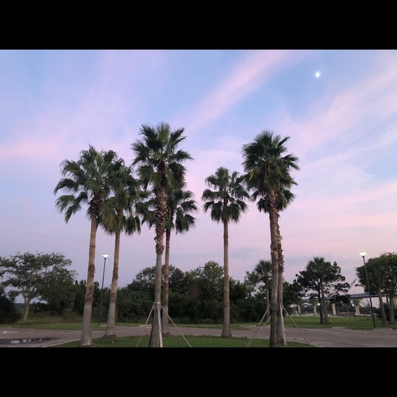 Meet your Posher, Pauline - Picture 7 of 9